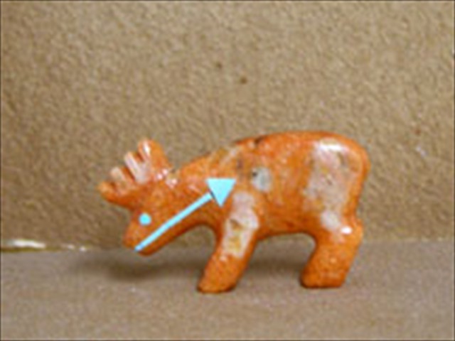 Coral Deer