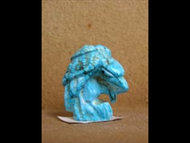 Turquioise eagle