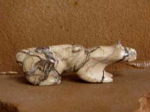 moutainlion